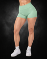 Curve Seamless Shorts