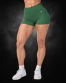 Curve Seamless Shorts